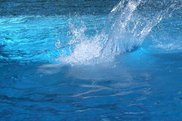 Poseidon Poseidon